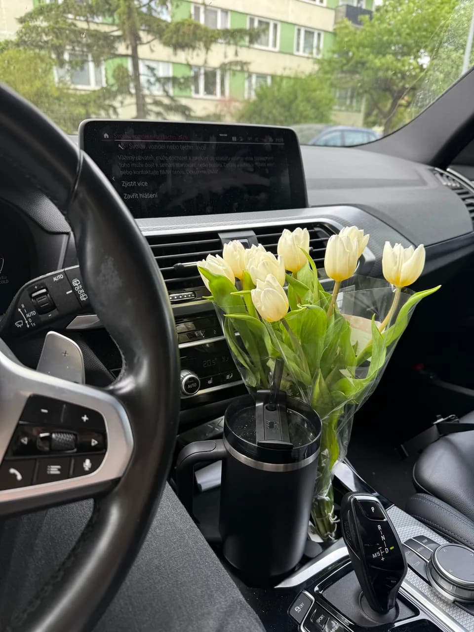 Tulips on a road trip